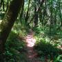 Heading north on the Loop Trail.